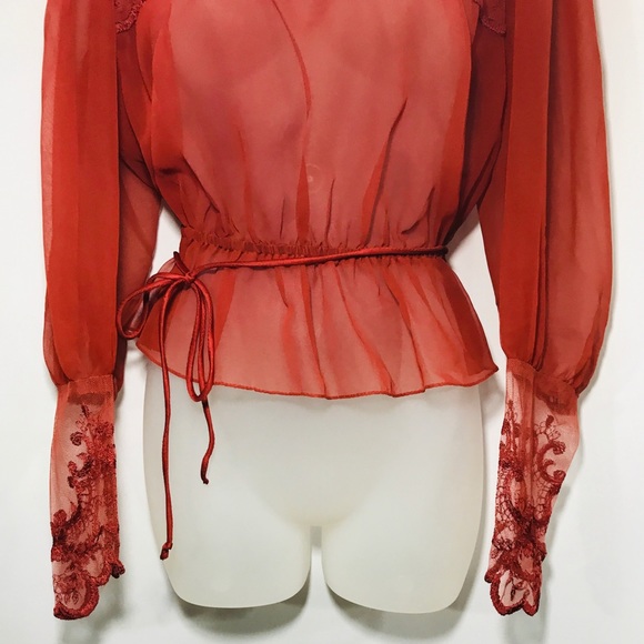 Vintage Burnt Orange Sheer Embroidered Tie Top - Picture 7 of 9